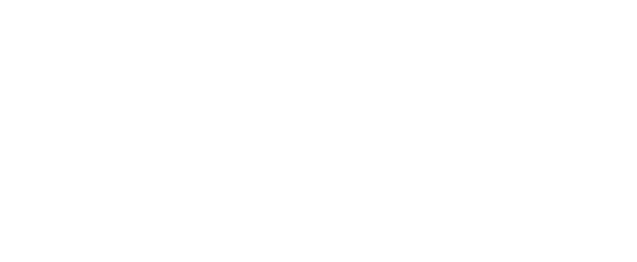 Mauricio Bustos — Coach Ejecutivo
